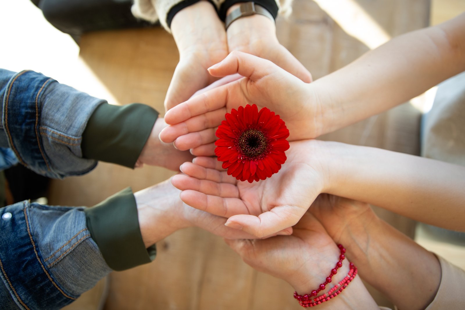 Eddee Zorggroep helpt kinderen, jongeren en volwassenen